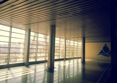ICT Projects and Facility Design in Singular Buildings