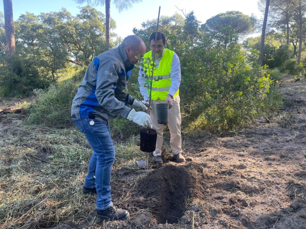 Gabitel y Endesa plantan un centenar de árboles en Lucena del Puerto para reducir su huella de carbono