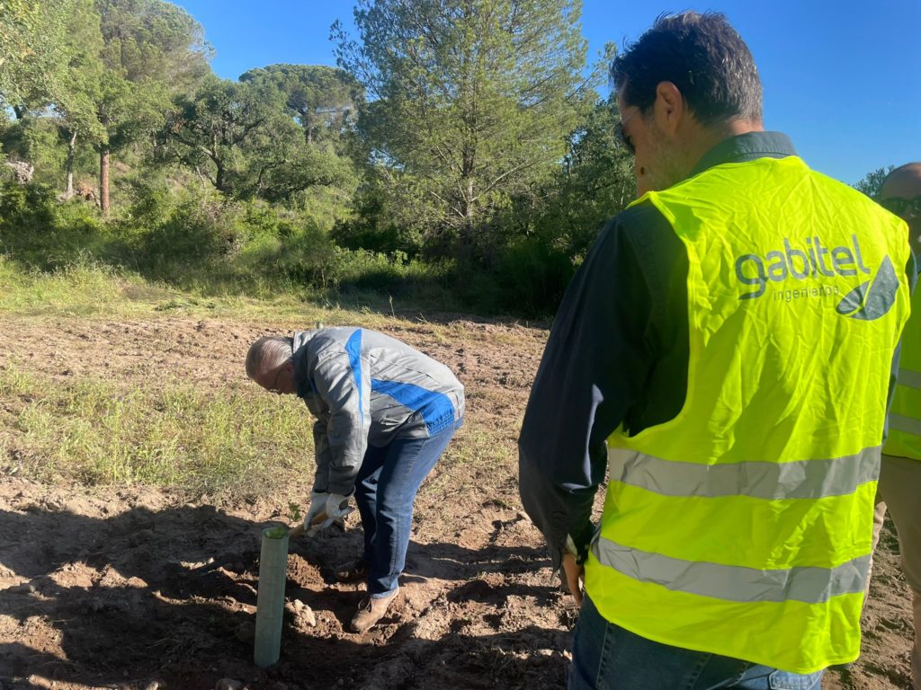 Gabitel y Endesa plantan un centenar de árboles en Lucena del Puerto para reducir su huella de carbono